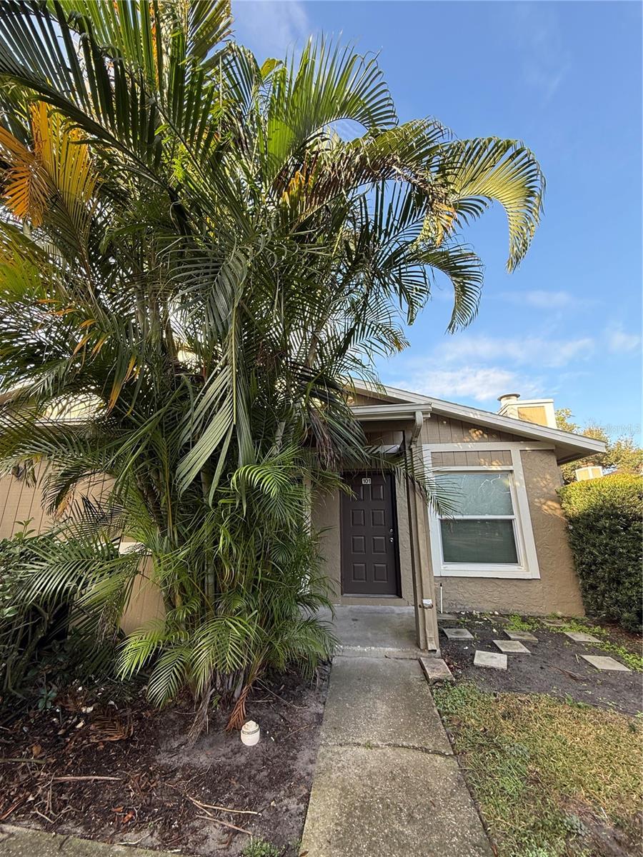 14311 HANGING MOSS CIR #101, TAMPA, FL, 33613