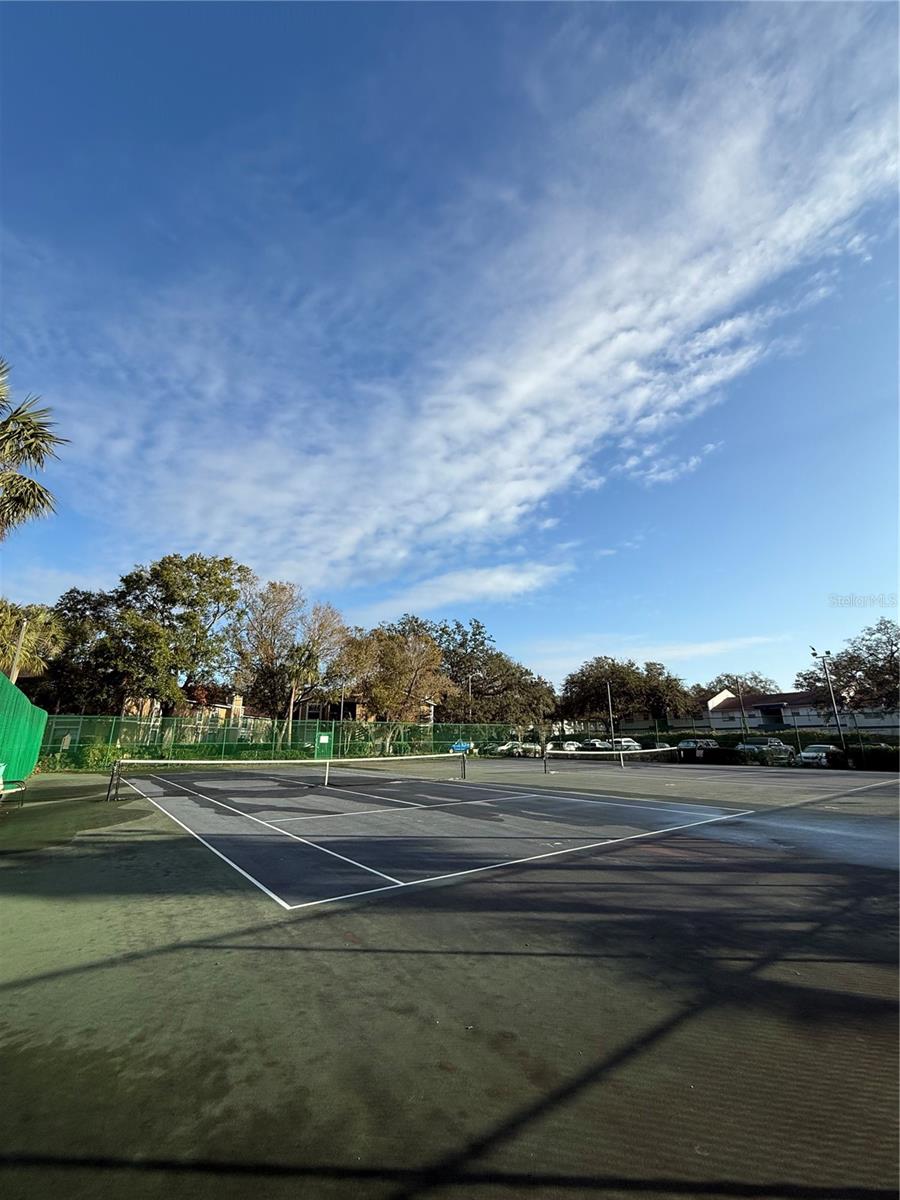 14311 HANGING MOSS CIR #101, TAMPA, FL, 33613