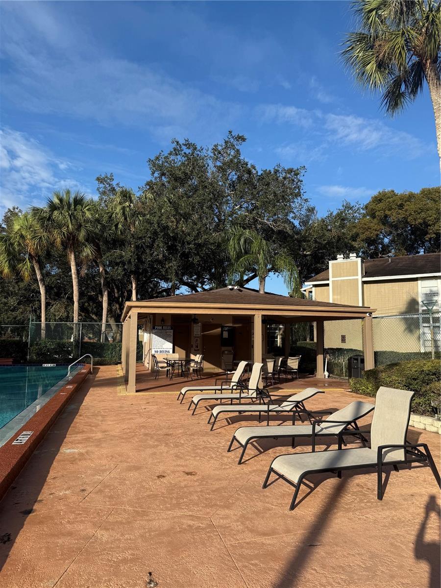 14311 HANGING MOSS CIR #101, TAMPA, FL, 33613