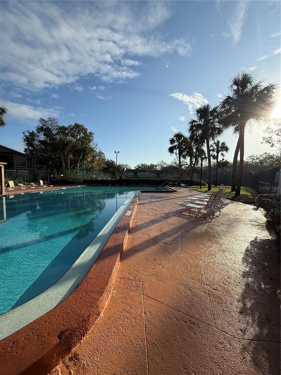14311 HANGING MOSS CIR #101, TAMPA, FL, 33613