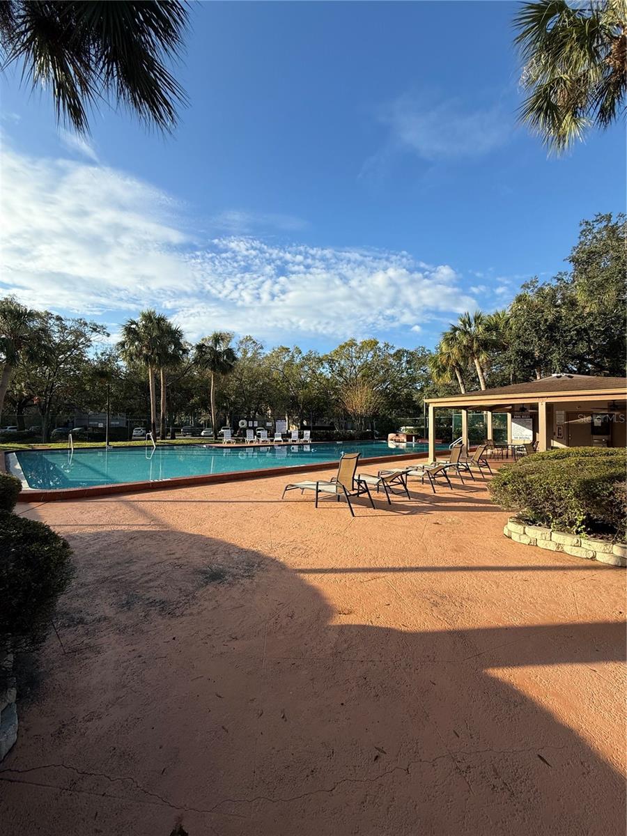 14311 HANGING MOSS CIR #101, TAMPA, FL, 33613