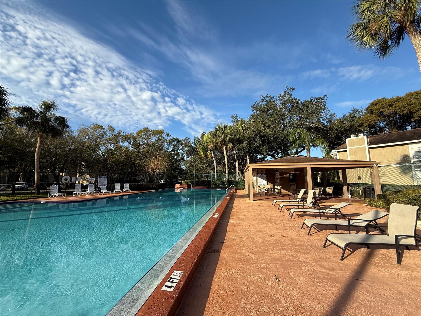 14311 HANGING MOSS CIR #101, TAMPA, FL, 33613