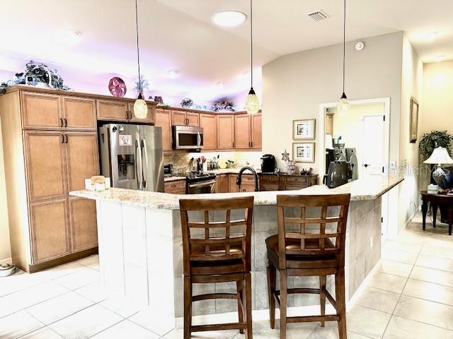 2850 APACHE CT, THE VILLAGES, FL, 32163
