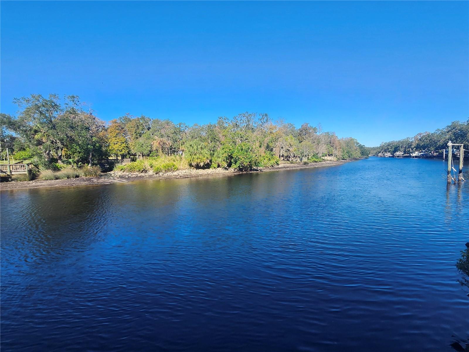 7222 N OLA AVE, TAMPA, FL, 33604