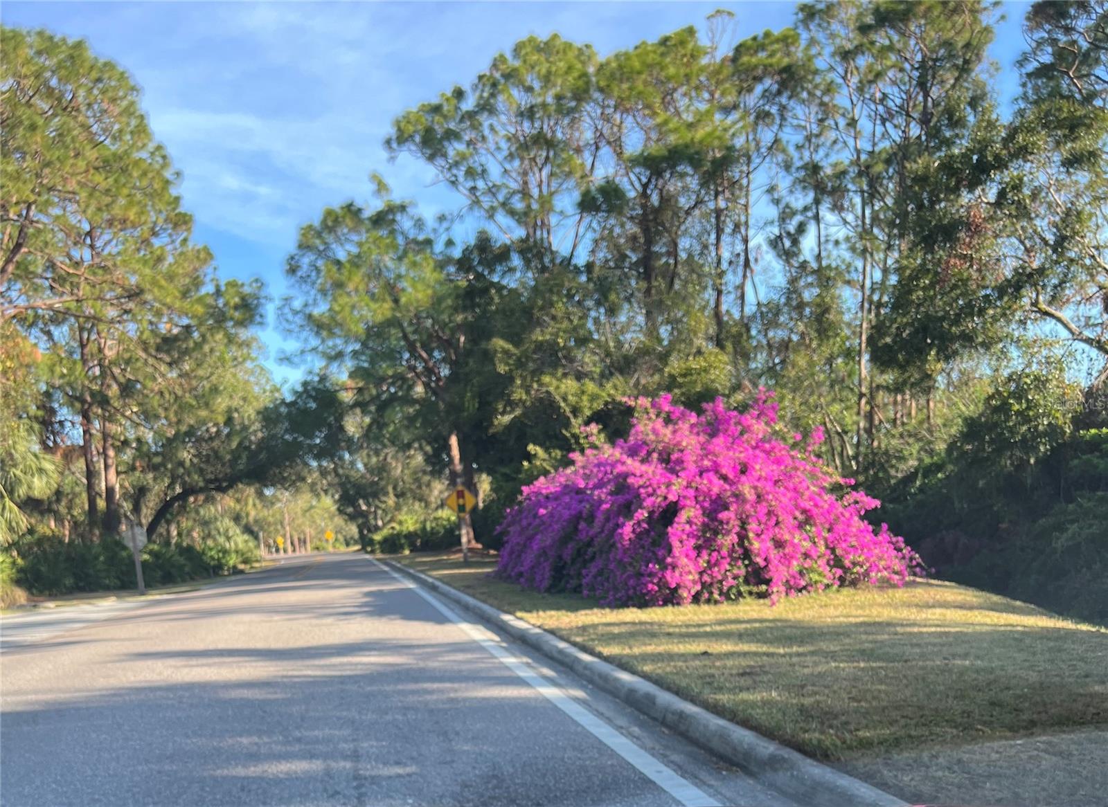 4526 LONGWATER #34, SARASOTA, FL, 34235