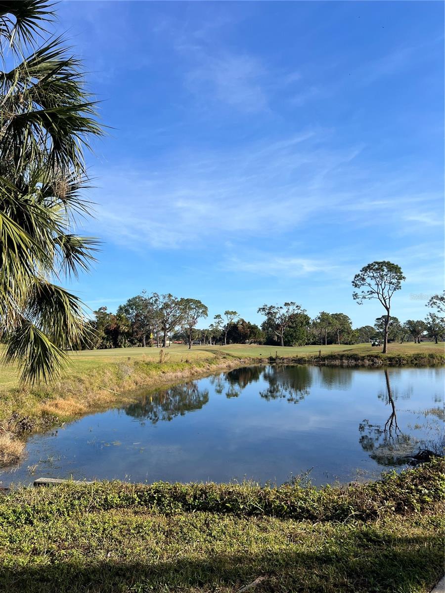 4526 LONGWATER #34, SARASOTA, FL, 34235