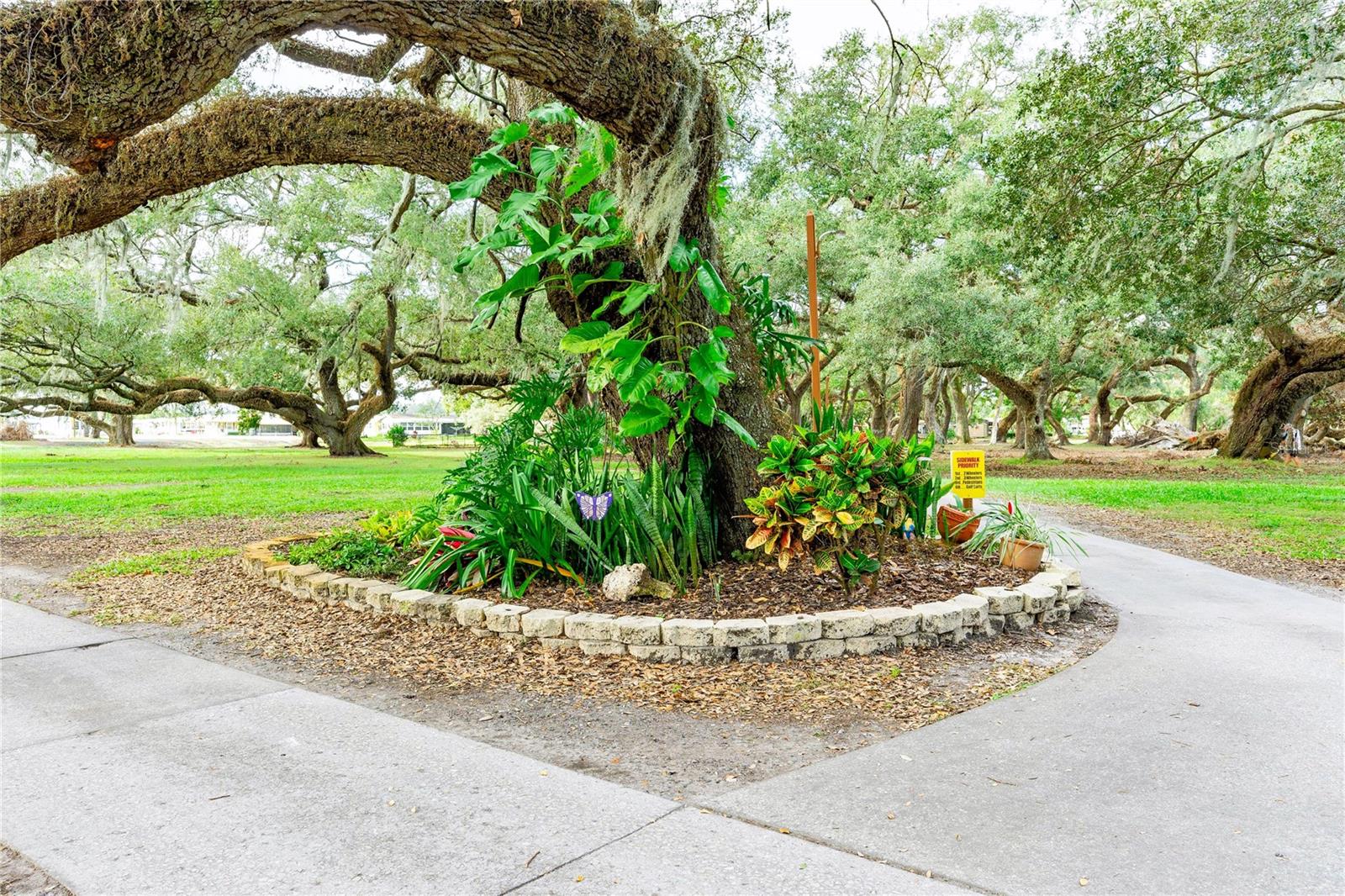 5212 BETMAR DR, ZEPHYRHILLS, FL, 33542