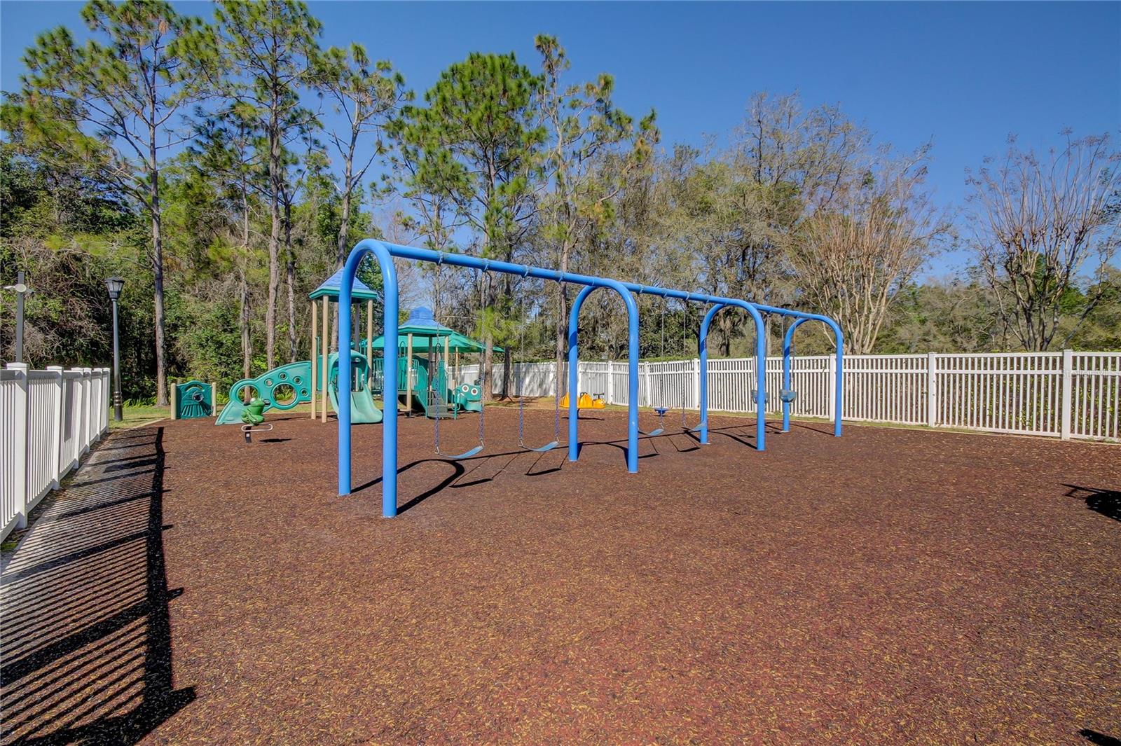 5021 GATO DEL SOL CIR, WESLEY CHAPEL, FL, 33544