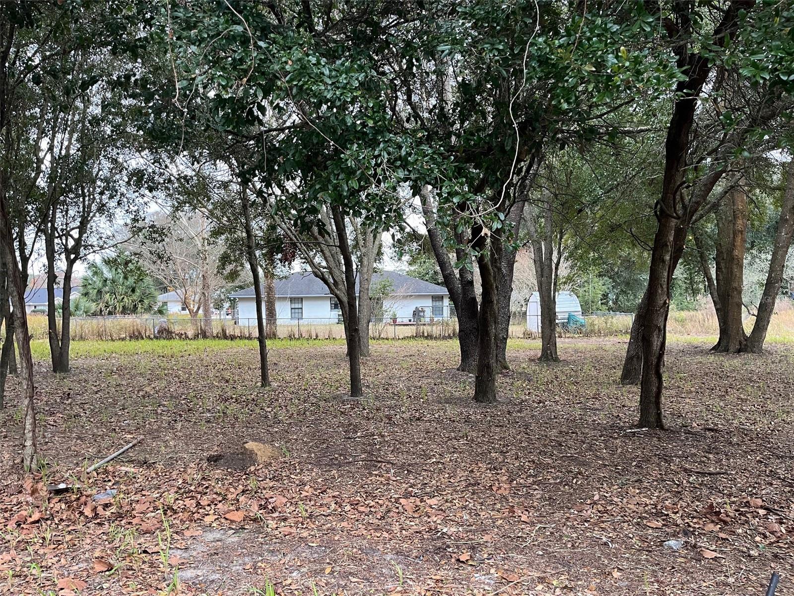 Lot 30 HEMLOCK RADIAL CT, OCALA, FL, 34472
