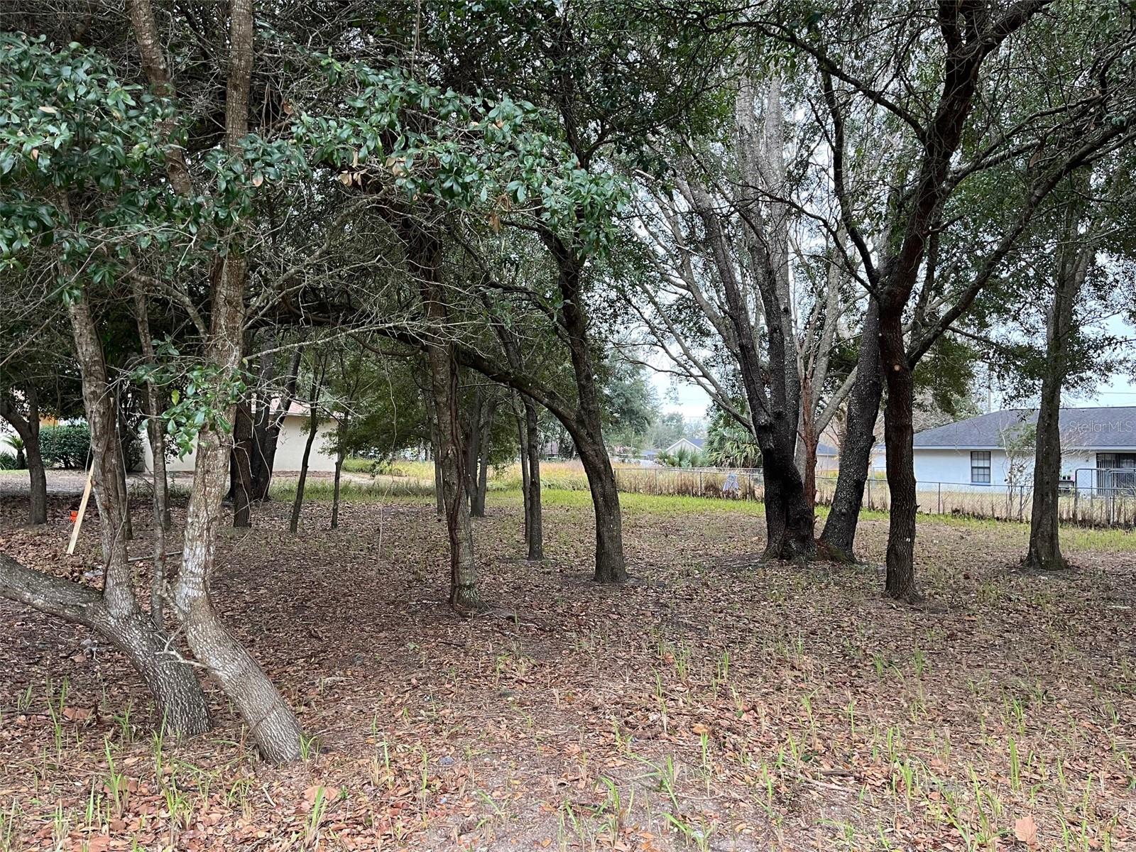 Lot 30 HEMLOCK RADIAL CT, OCALA, FL, 34472