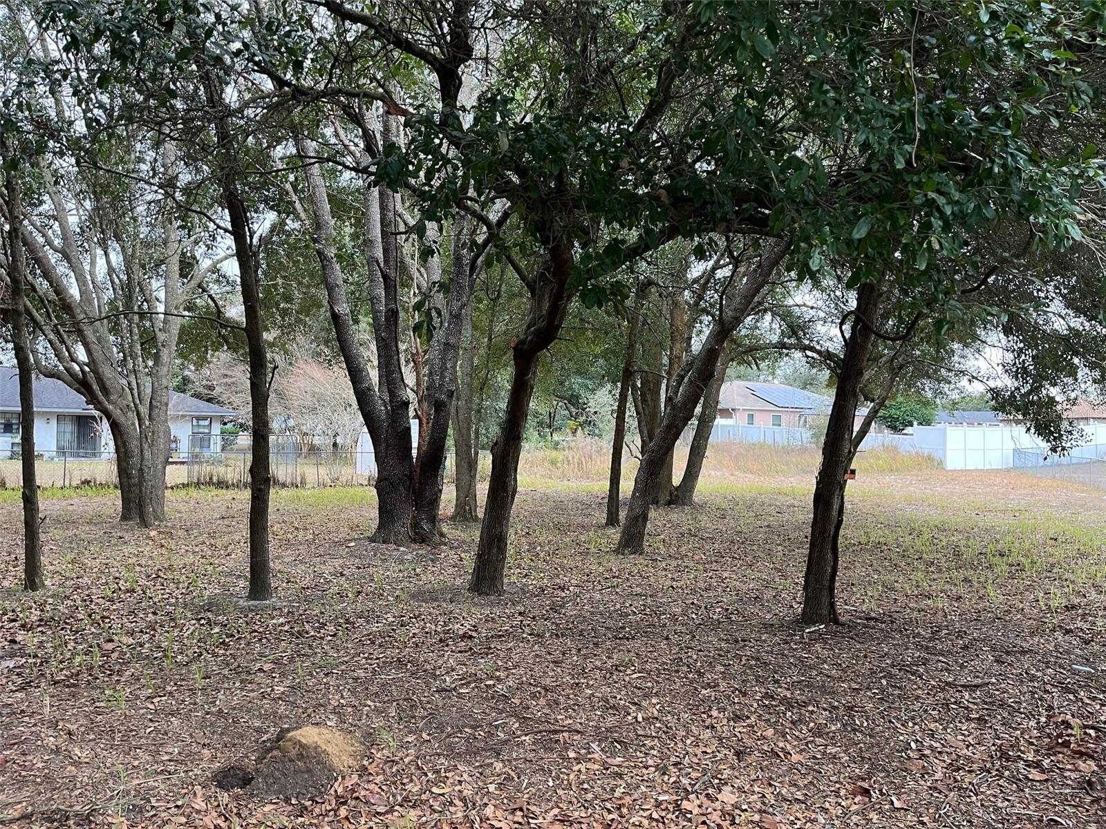 Lot 30 HEMLOCK RADIAL CT, OCALA, FL, 34472
