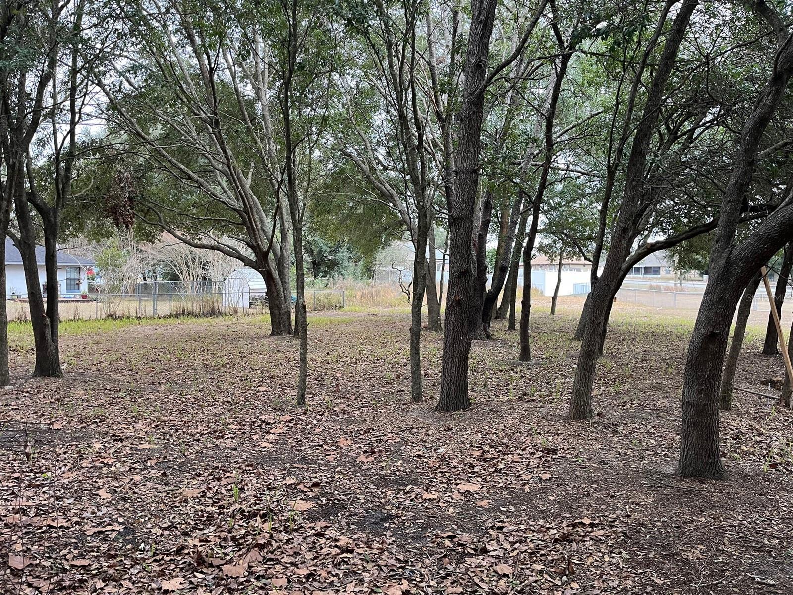 Lot 30 HEMLOCK RADIAL CT, OCALA, FL, 34472