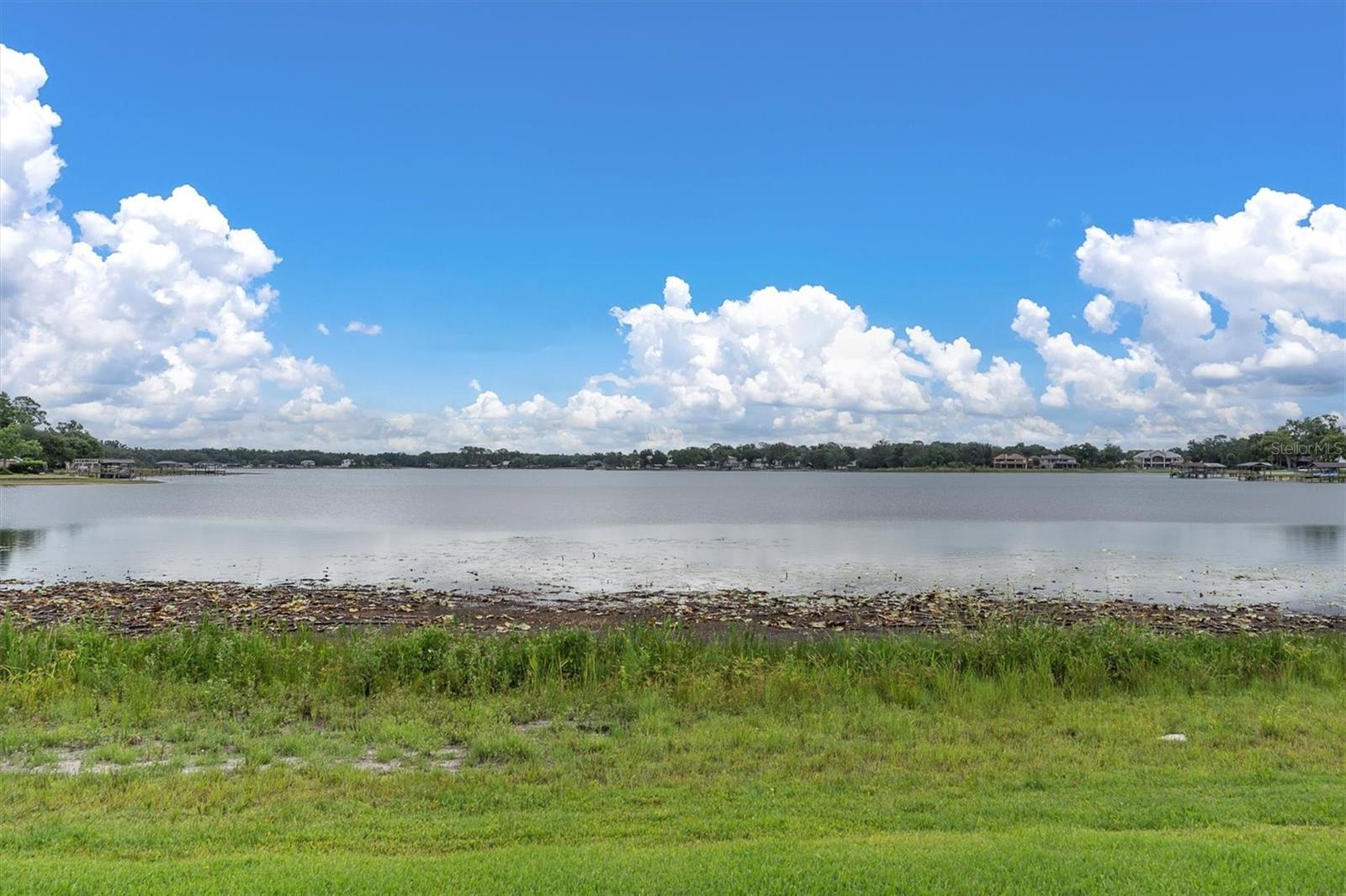 13712 ORANGE SUNSET DR, TAMPA, FL, 33618