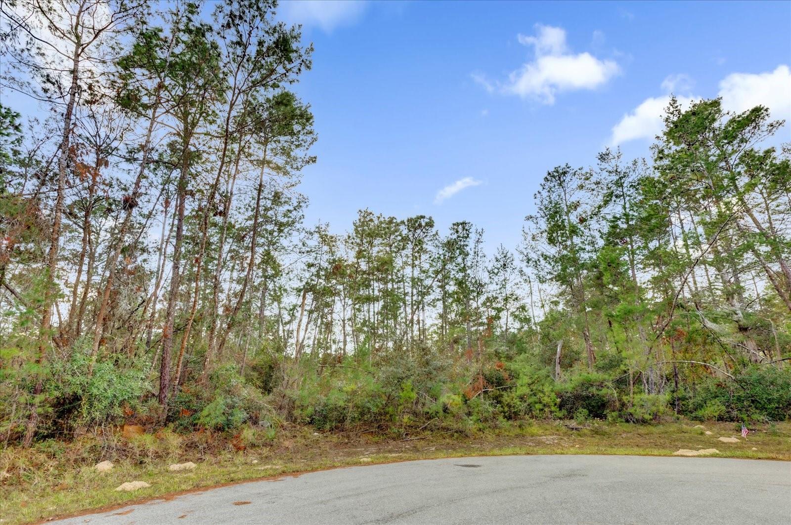 TBD SW 176 ST, OCALA, FL, 34473