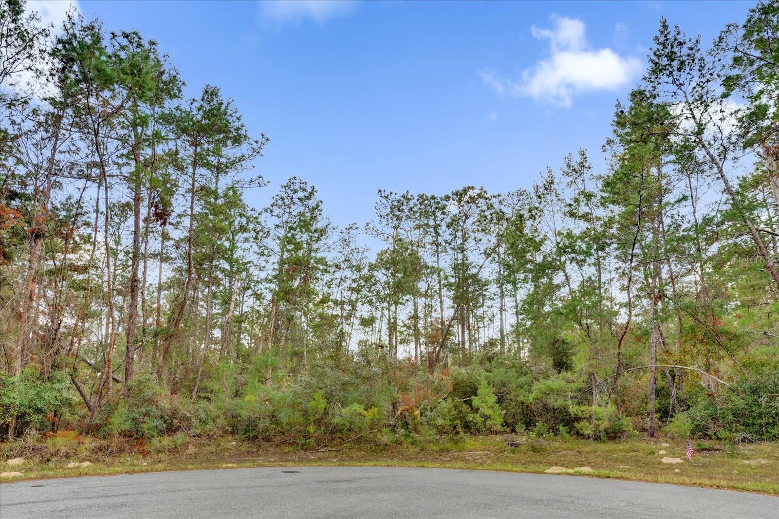 TBD SW 176 ST, OCALA, FL, 34473