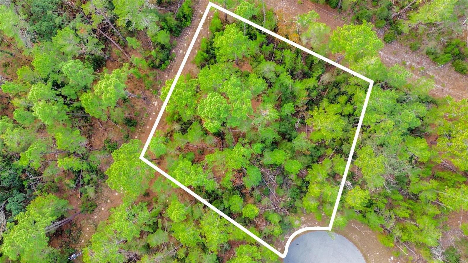 TBD SW 176 ST, OCALA, FL, 34473