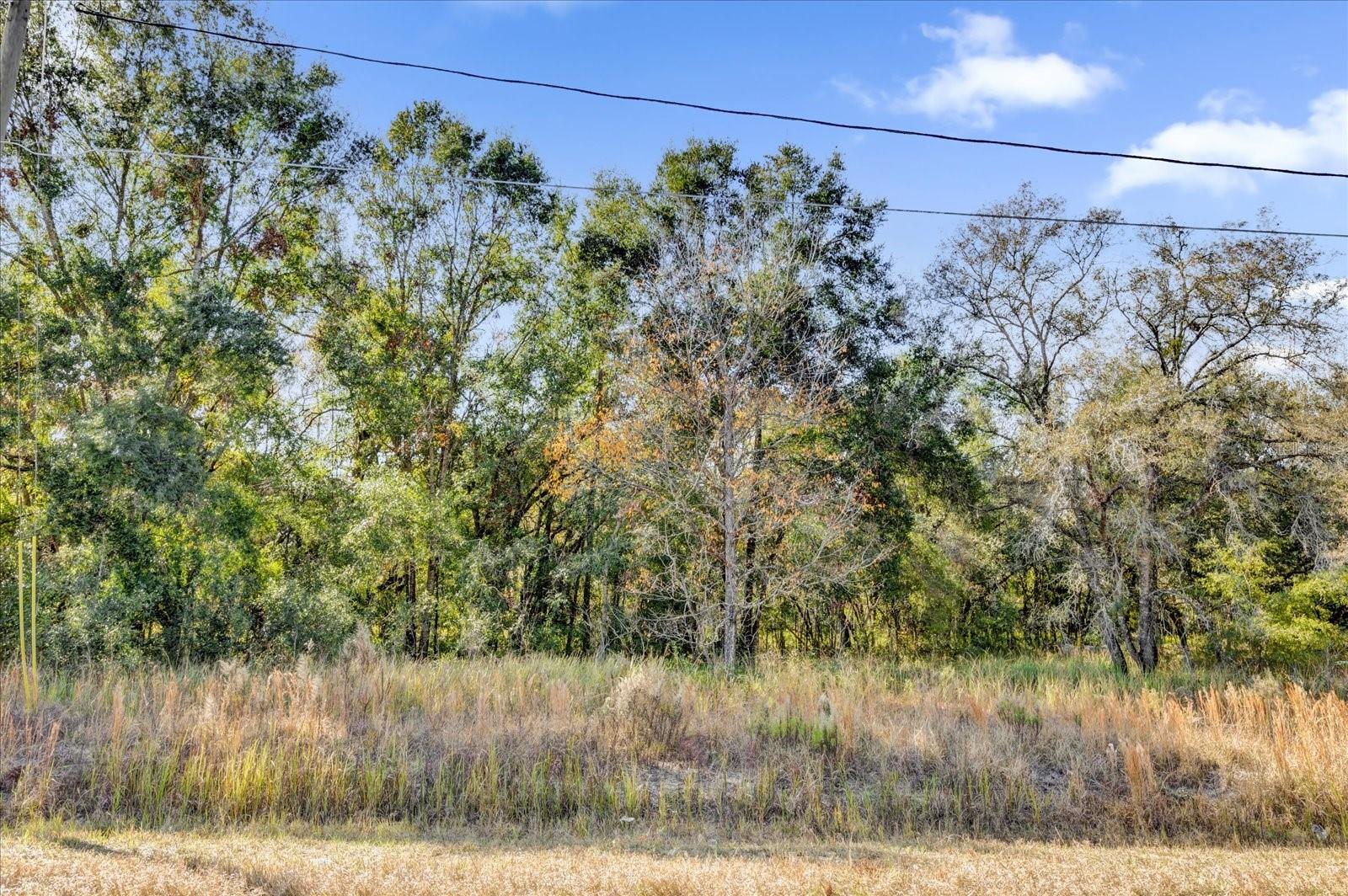 TBD DOGWOOD DRIVE PASS #Lot 21, OCALA, FL, 34472