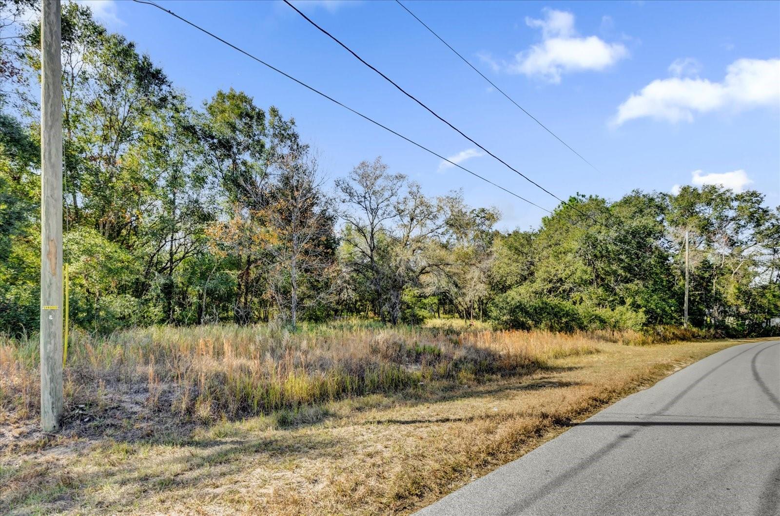 TBD DOGWOOD DRIVE PASS #Lot 21, OCALA, FL, 34472