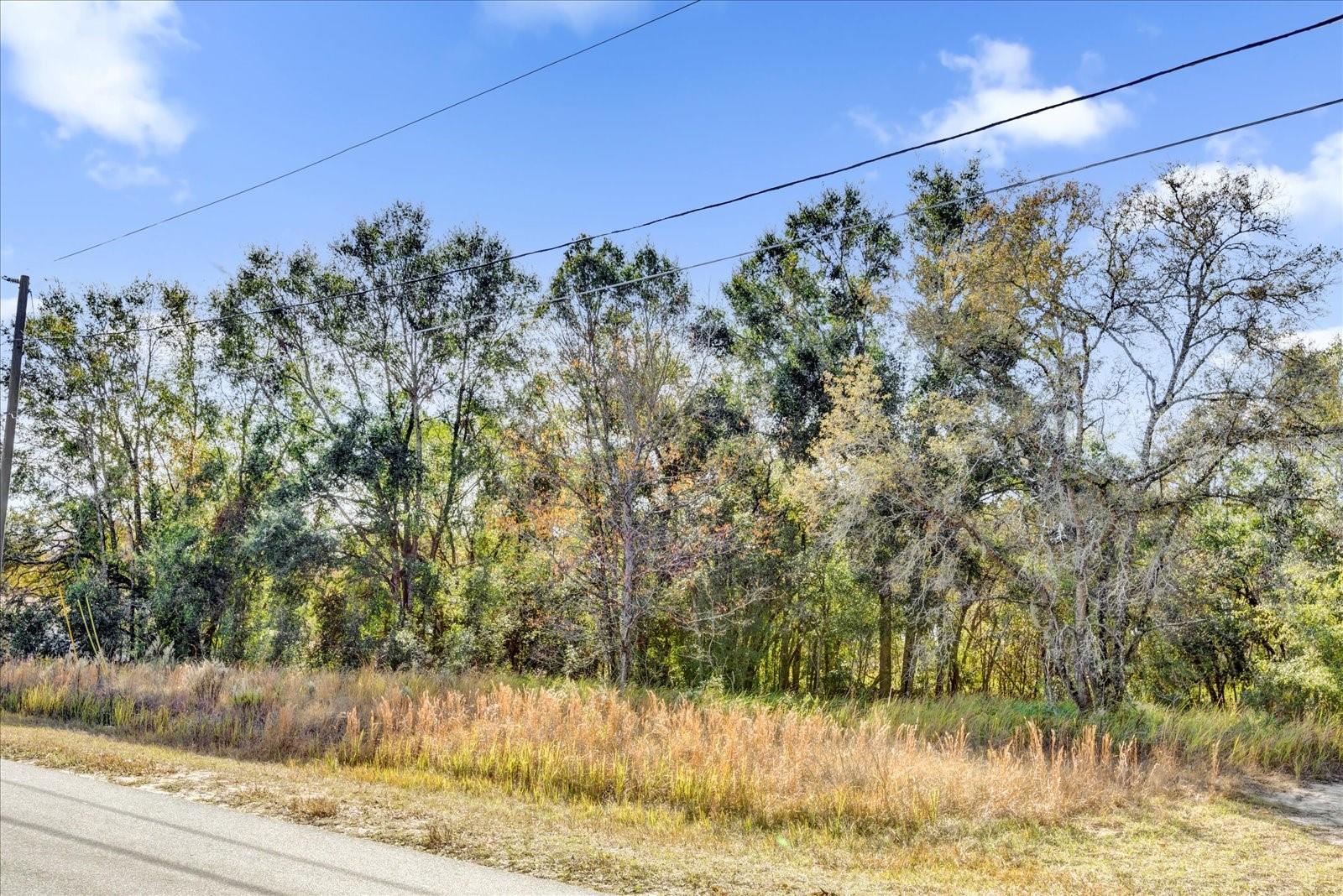 TBD DOGWOOD DRIVE PASS #Lot 21, OCALA, FL, 34472
