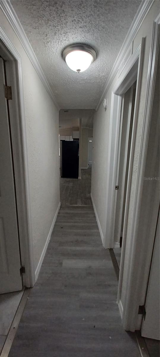 3426 N HOLIDAY DR, CRYSTAL RIVER, FL, 34428
