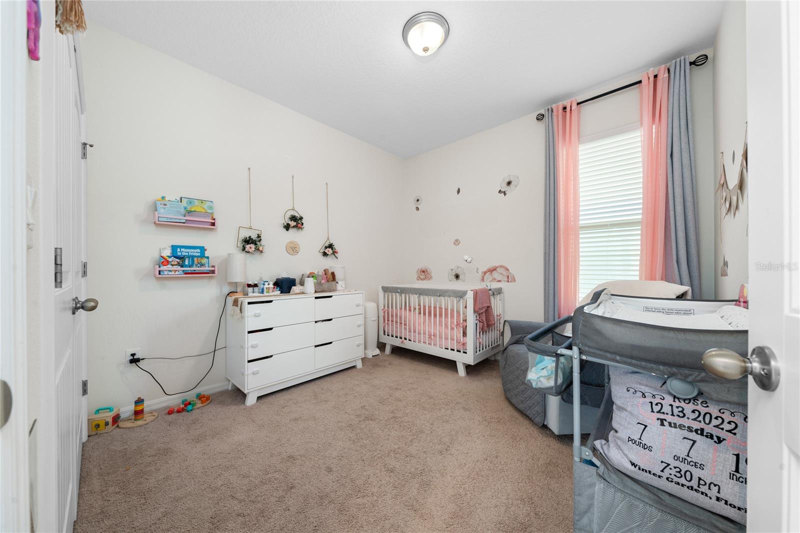 16478 ANGEL FISH RD, WINTER GARDEN, FL, 34787