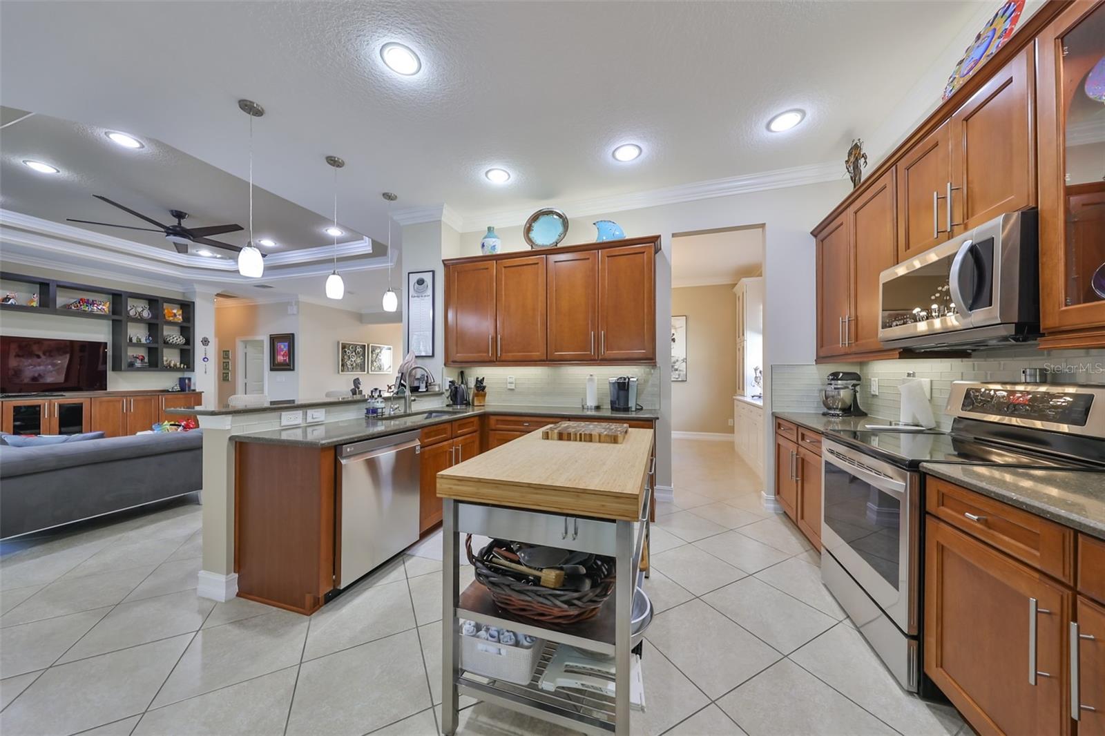 5026 RUBY FLATS DR, WIMAUMA, FL, 33598