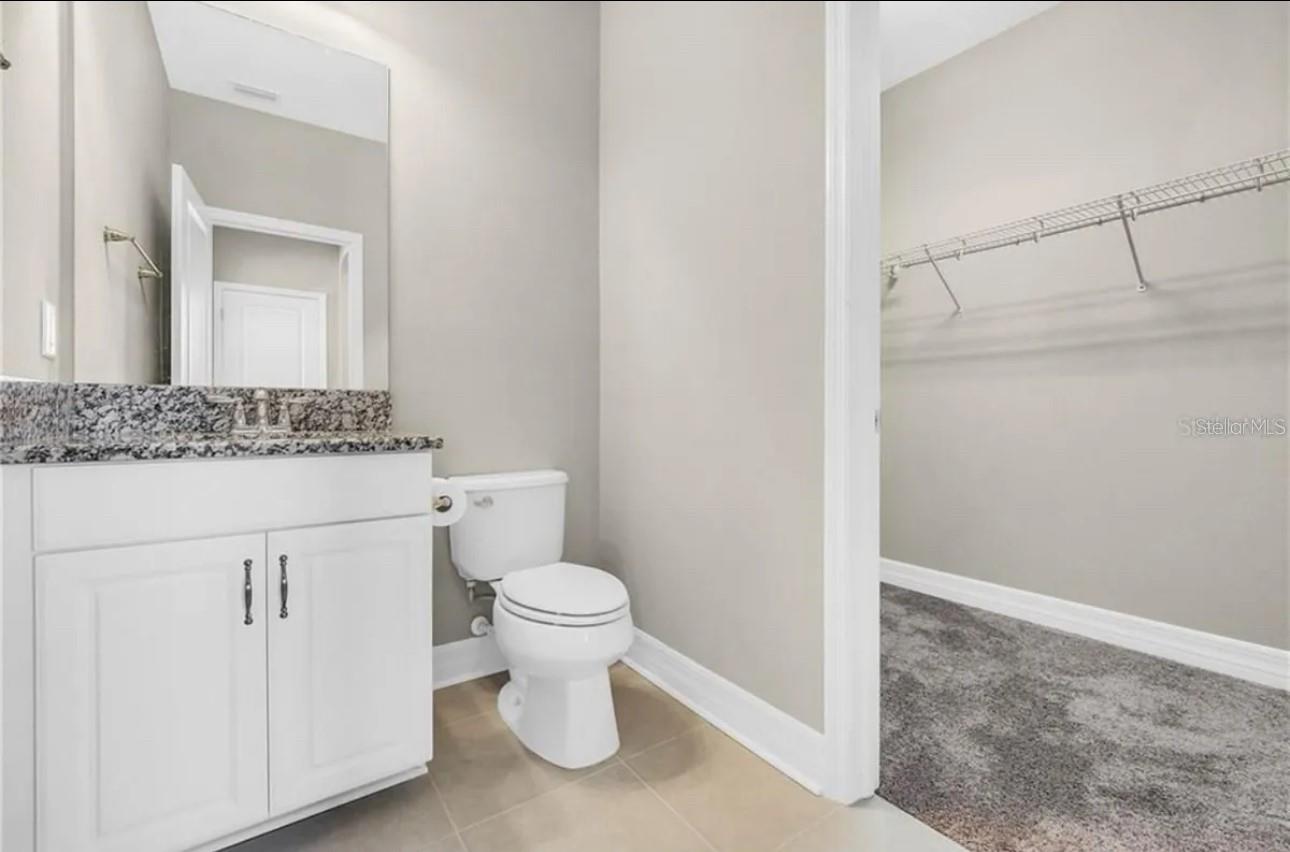 33205 AZALEA RIDGE DR, WESLEY CHAPEL, FL, 33545