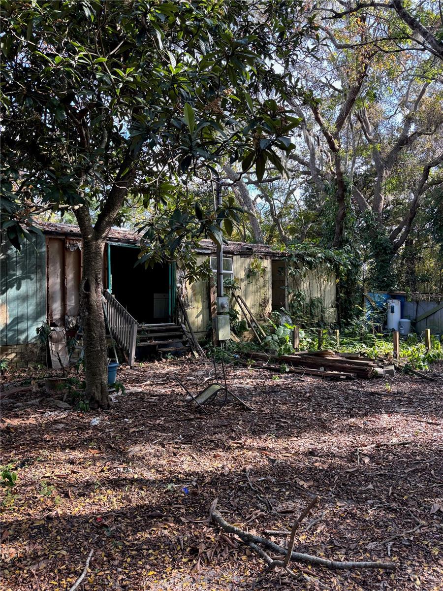 18990 SE 95TH PL, OCKLAWAHA, FL, 32179