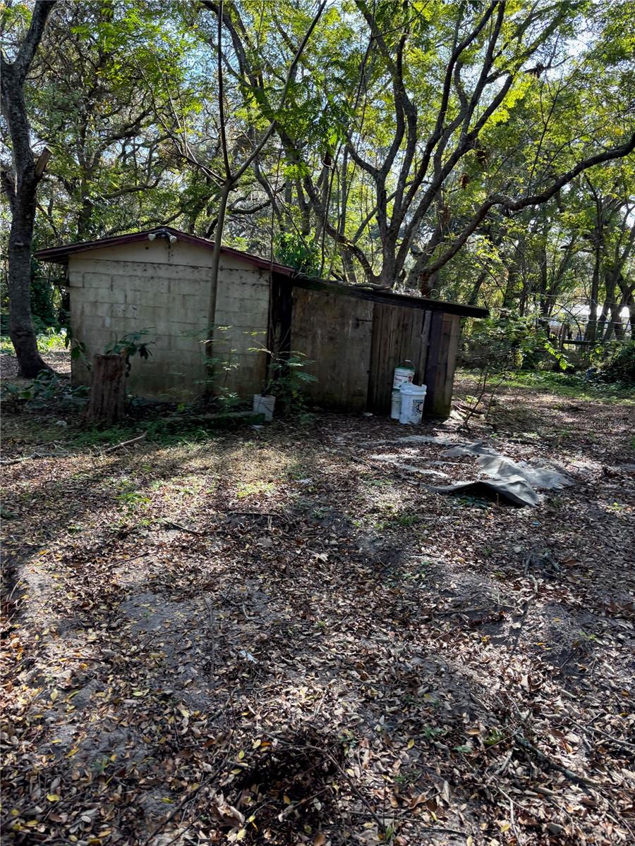 18990 SE 95TH PL, OCKLAWAHA, FL, 32179