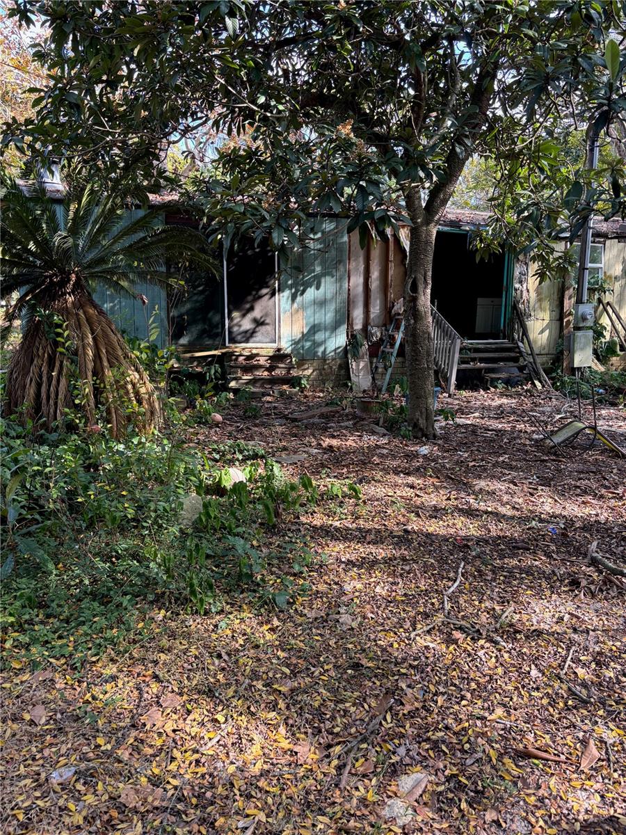 18990 SE 95TH PL, OCKLAWAHA, FL, 32179