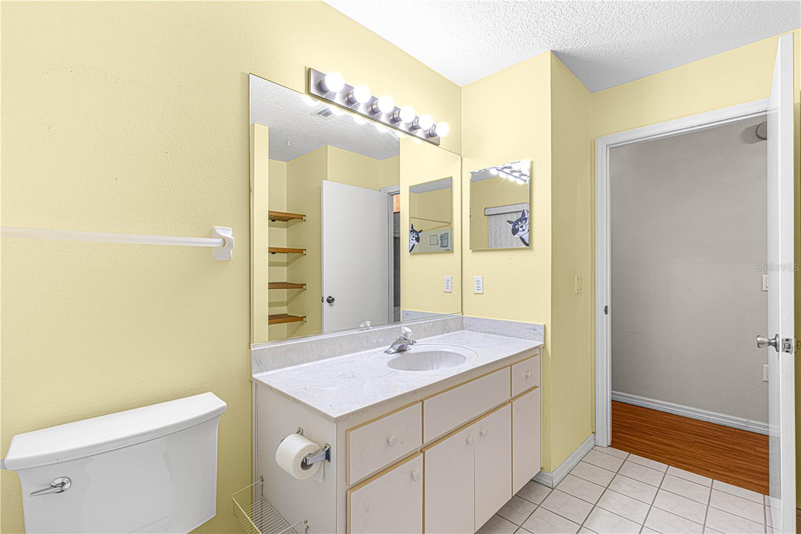 17329 SE 115TH TERRACE RD, SUMMERFIELD, FL, 34491
