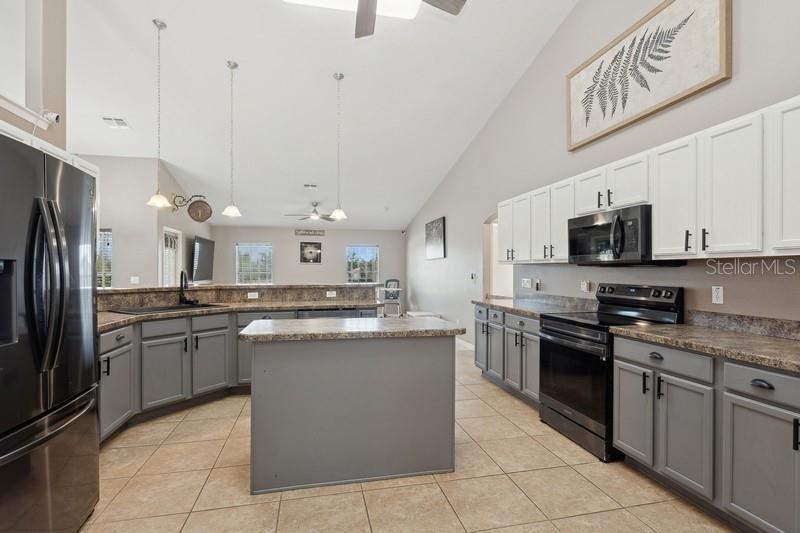 1017 S GLEN MEADOW LOOP, LECANTO, FL, 34461
