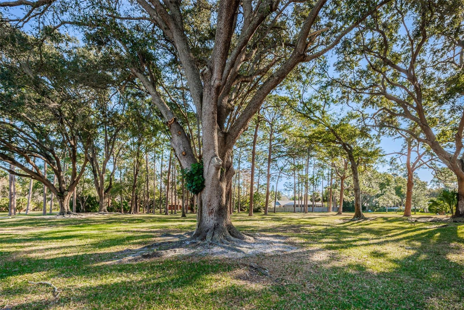 2404 FORECASTLE DR, PALM HARBOR, FL, 34685