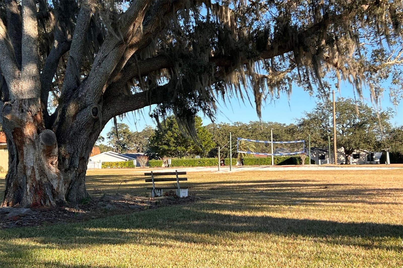 17973 SE 104TH TER, SUMMERFIELD, FL, 34491