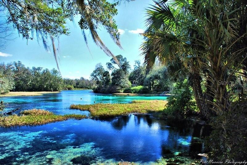 lot 39 NW TAMARIND LN, DUNNELLON, FL, 34431