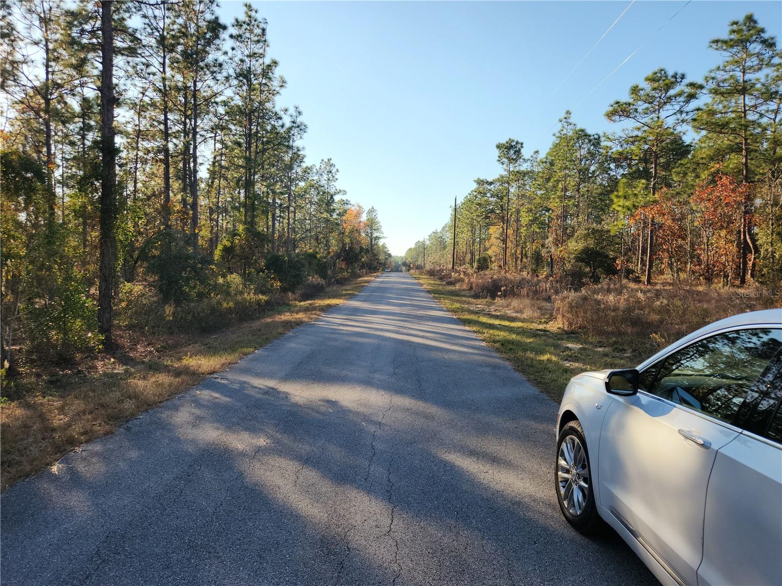 lot 39 NW TAMARIND LN, DUNNELLON, FL, 34431