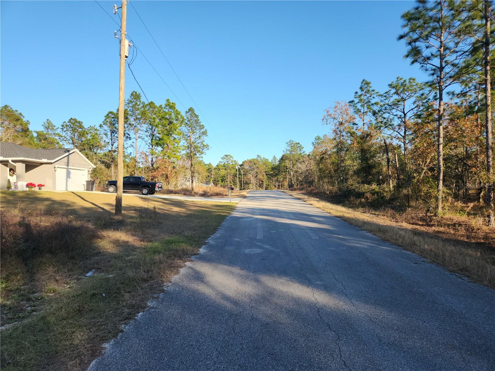 lot 39 NW TAMARIND LN, DUNNELLON, FL, 34431