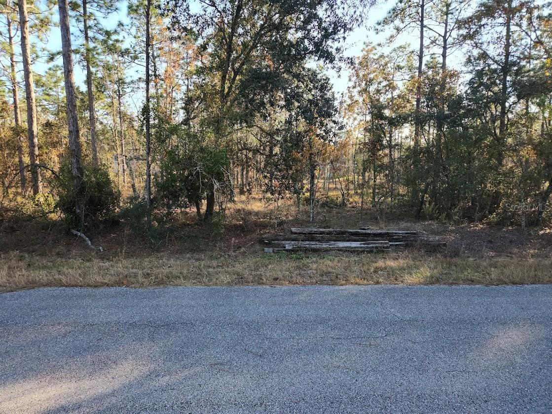 lot 39 NW TAMARIND LN, DUNNELLON, FL, 34431