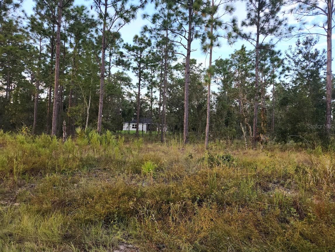 lot 39 NW TAMARIND LN, DUNNELLON, FL, 34431