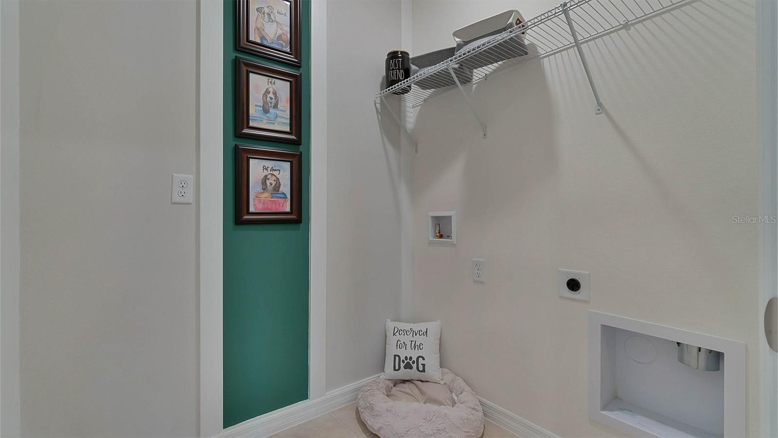 1249 LIMBALI ST, MOUNT DORA, FL, 32757