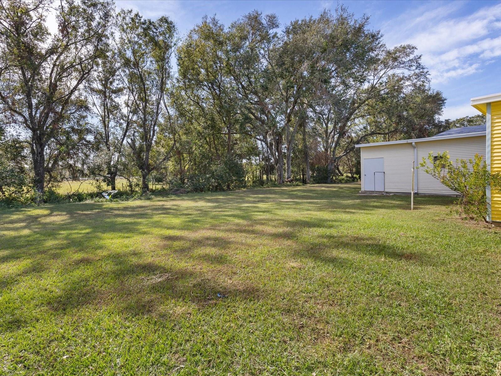 38504 MONET DR, ZEPHYRHILLS, FL, 33540