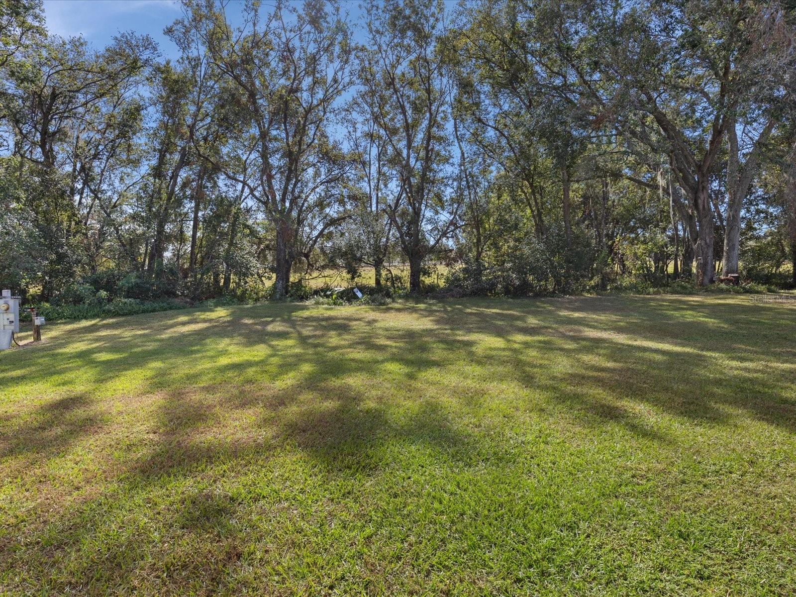 38504 MONET DR, ZEPHYRHILLS, FL, 33540