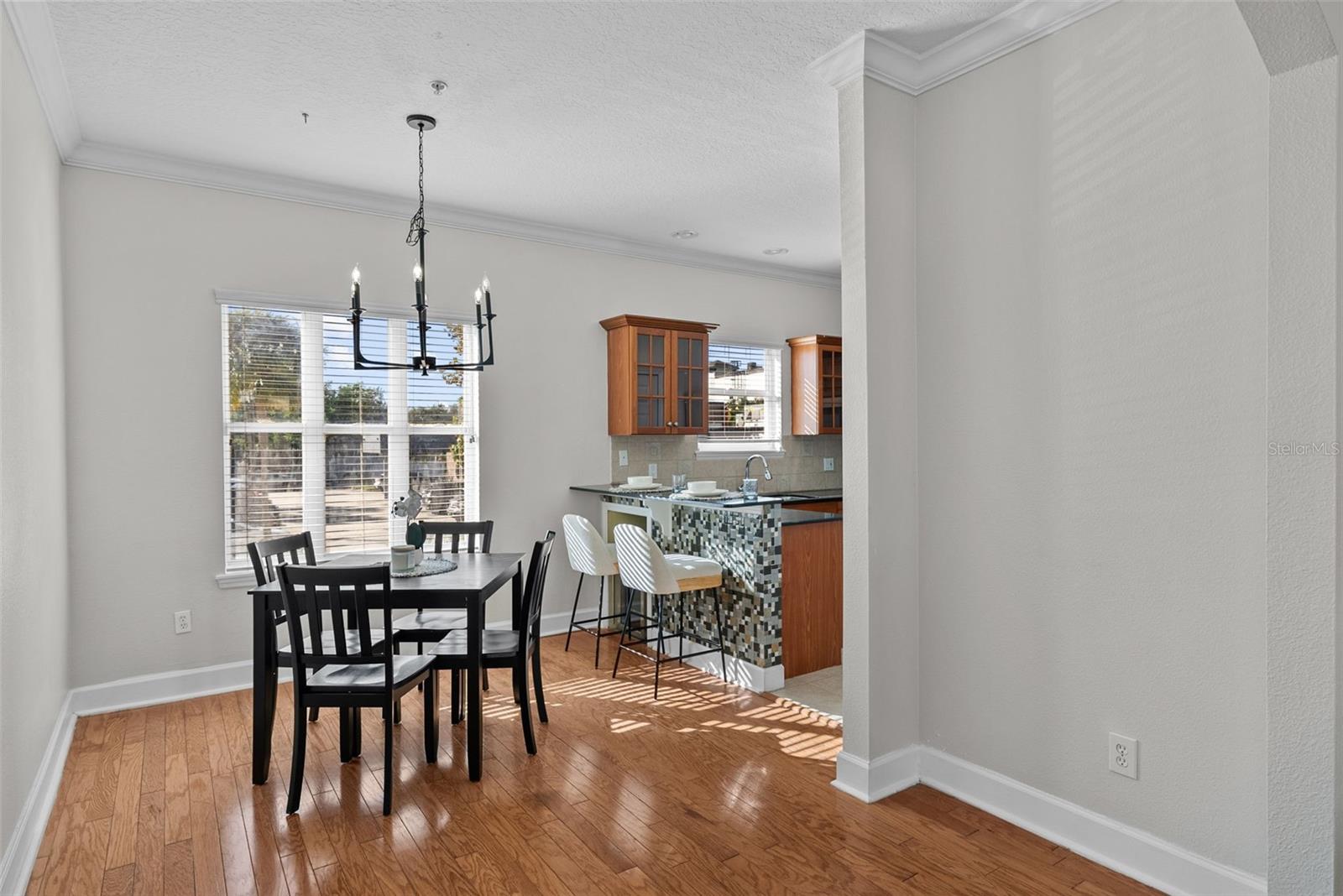 613 CASABELLA CIR, TAMPA, FL, 33609