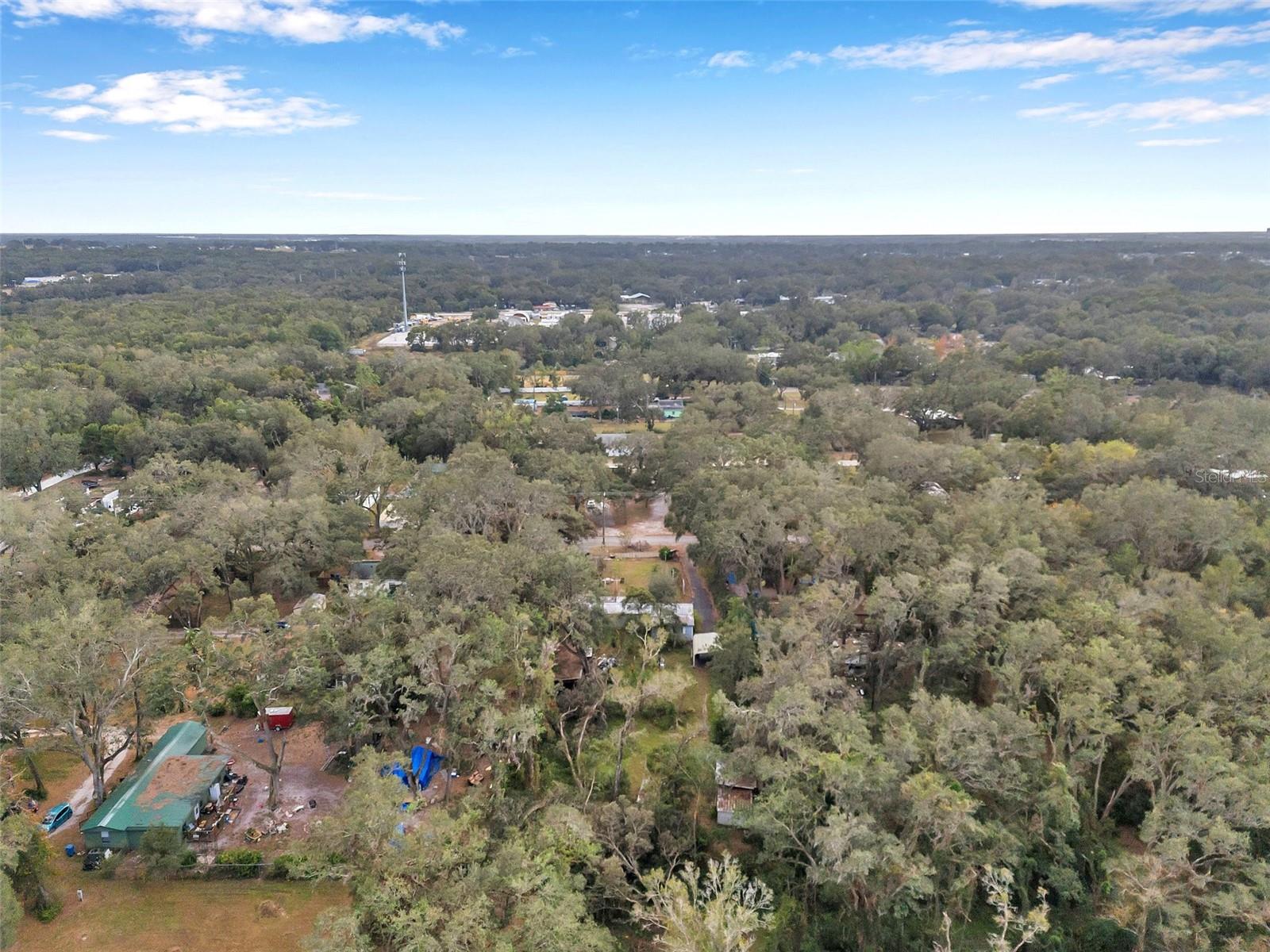10008 OHIO AVE, THONOTOSASSA, FL, 33592