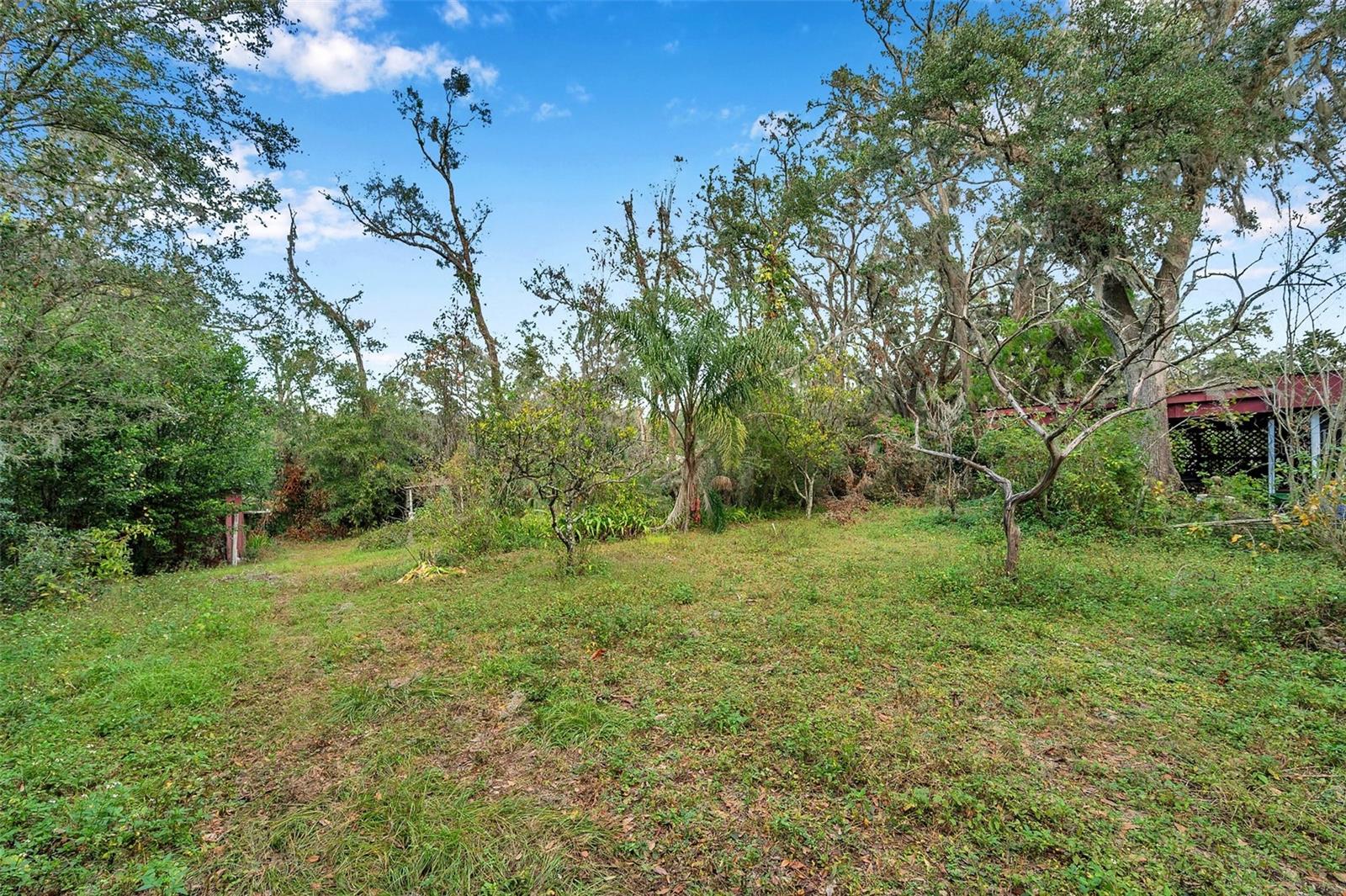 10008 OHIO AVE, THONOTOSASSA, FL, 33592