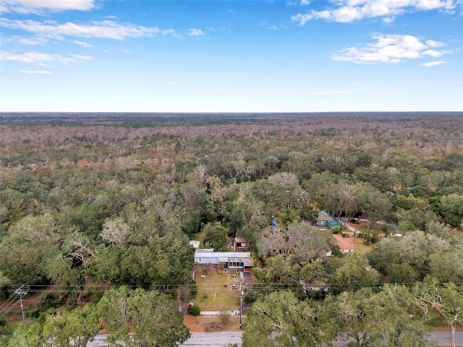 10008 OHIO AVE, THONOTOSASSA, FL, 33592
