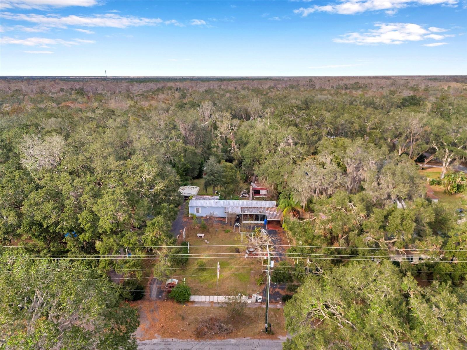 10008 OHIO AVE, THONOTOSASSA, FL, 33592