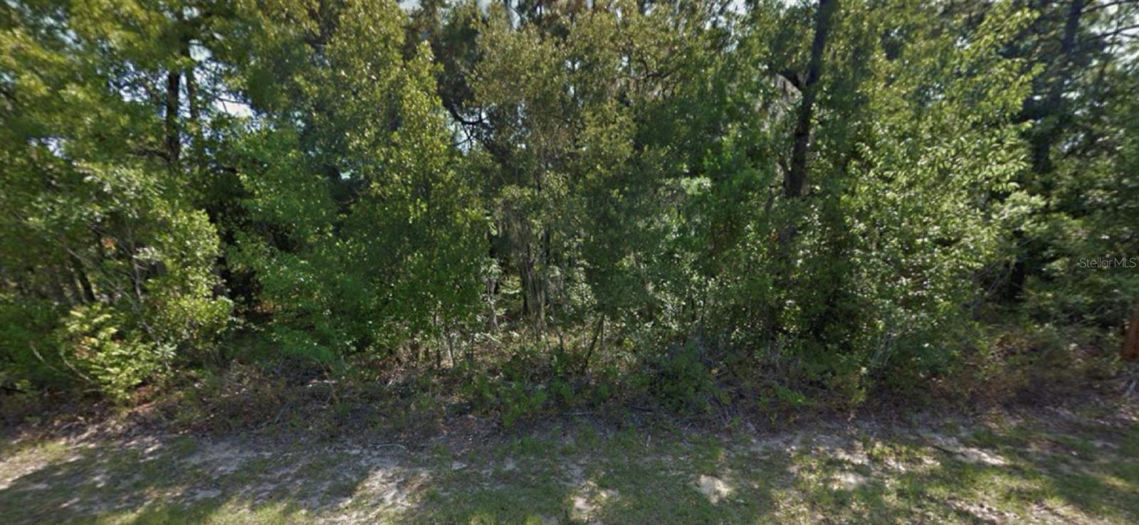 9175 N COMMODORE DR, CITRUS SPRINGS, FL, 34434
