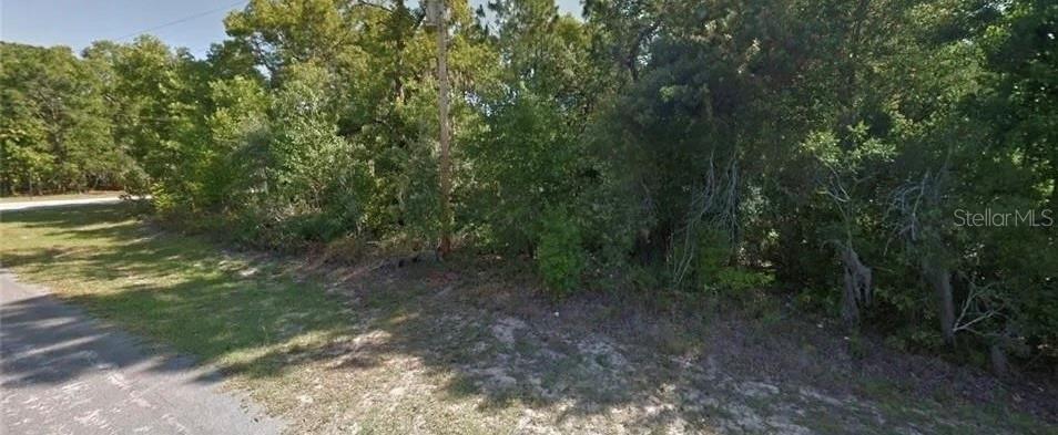 9175 N COMMODORE DR, CITRUS SPRINGS, FL, 34434