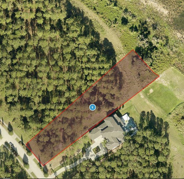 15613 PENDIO DR, BELLA COLLINA, FL, 34756